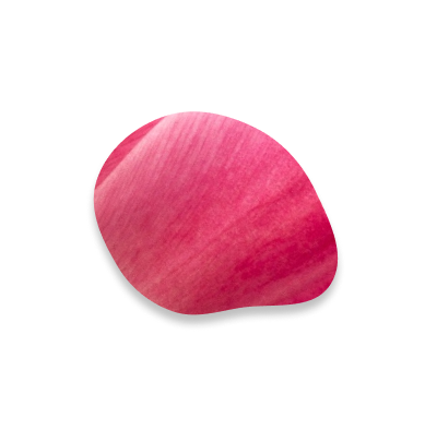 petal